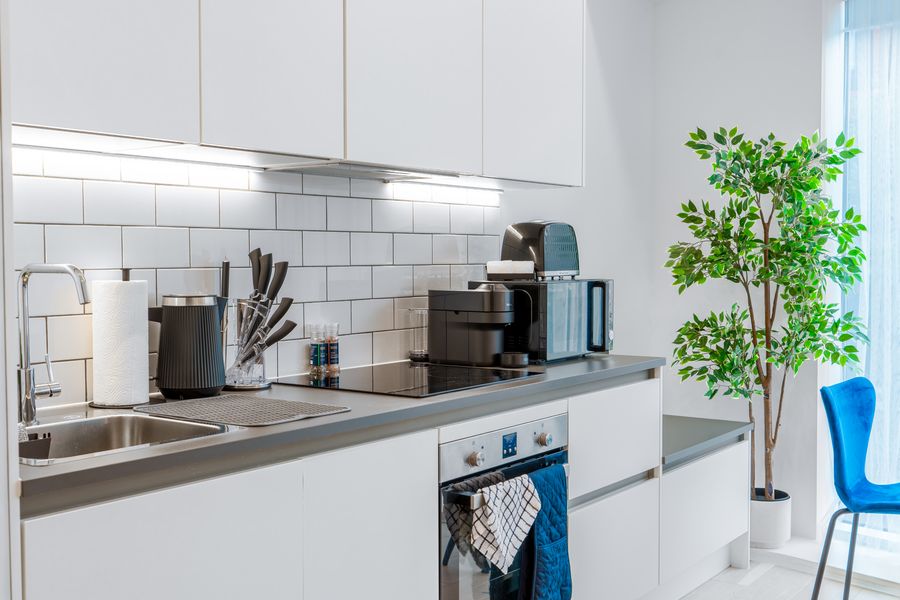 Kitchen with oven, hob and a plant by the window